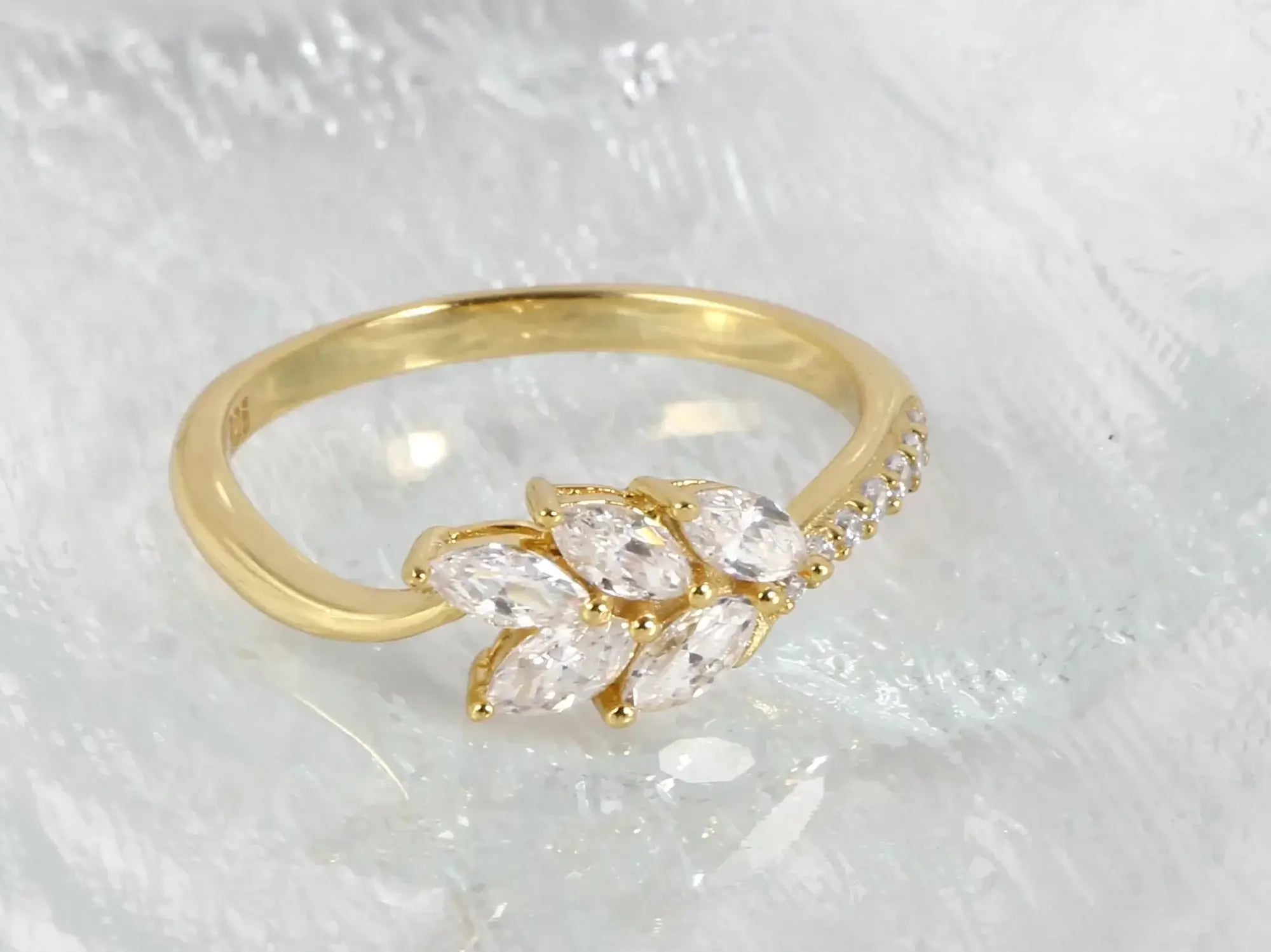 Kaitlan Collins' Engagement Ring: What Could the Future Hold?